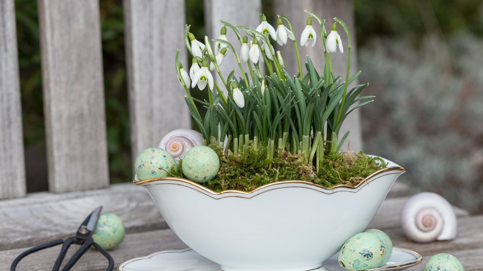 Delicate white flowers with green tips emerge from arching stems, surrounded by slender, linear green leaves in a deep porcelain bowl filled with soil and moss, placed on a wooden surface next to painted eggs and scissors.
